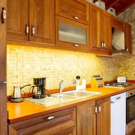 호텔 Stone House W Private Pool And Garden In Bodrum 오르타켄트