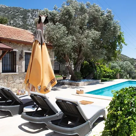 Hotel Stone House W Private Pool And Garden In Bodrum