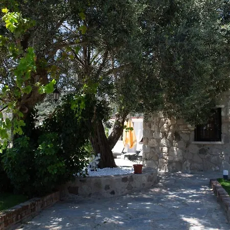 호텔 Stone House W Private Pool And Garden In Bodrum 오르타켄트